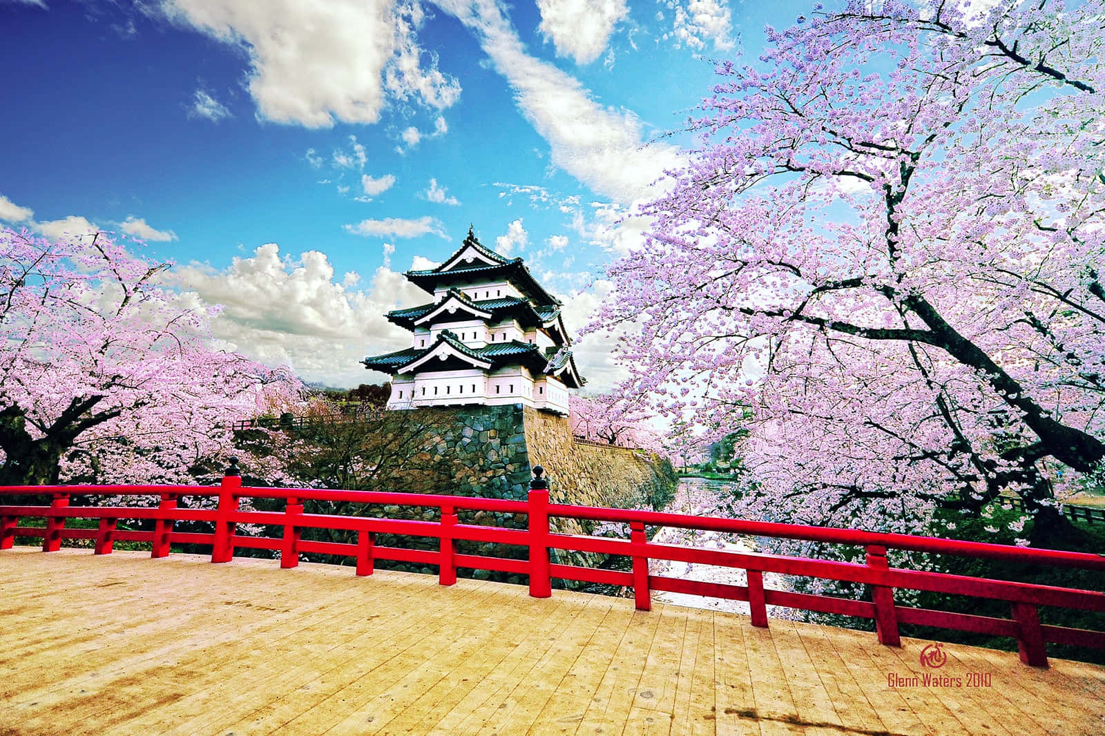 Cherry Blossom In Hirosaki Castle Picture