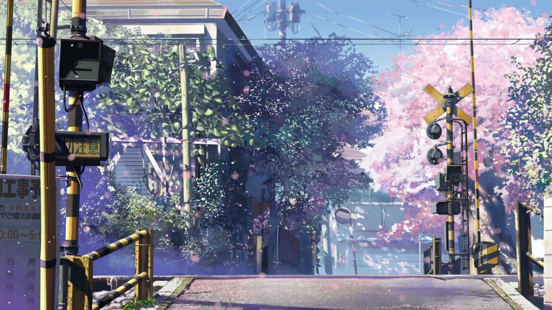 Cherry Blossom Intersection Anime Street Wallpaper