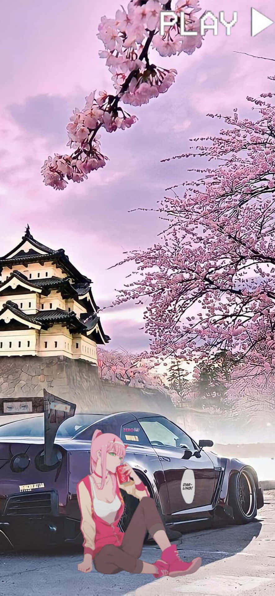 Cherry Blossom J D M_ Anime Style Wallpaper