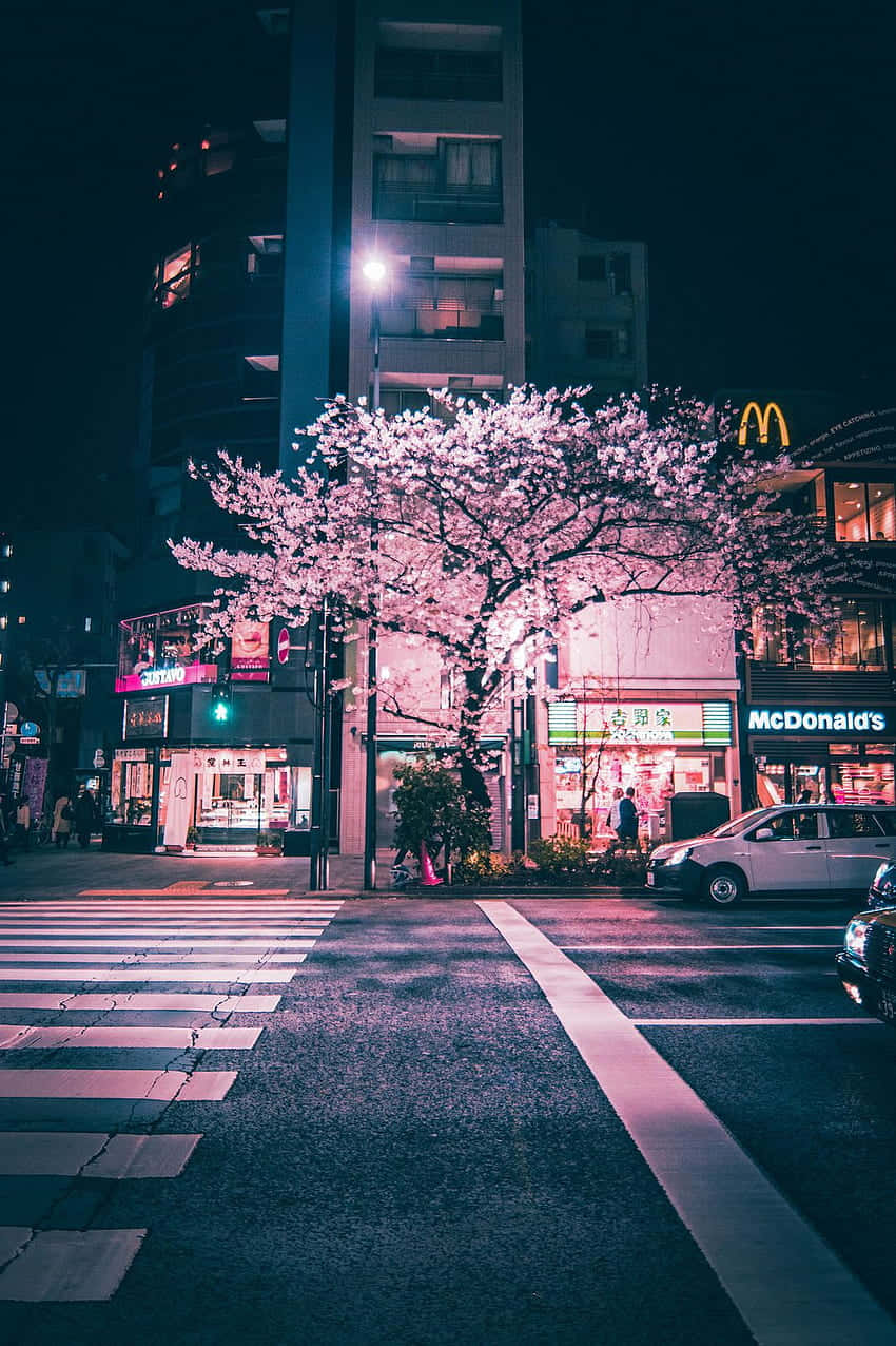 Cherry Blossom Night Cityscape.jpg Wallpaper