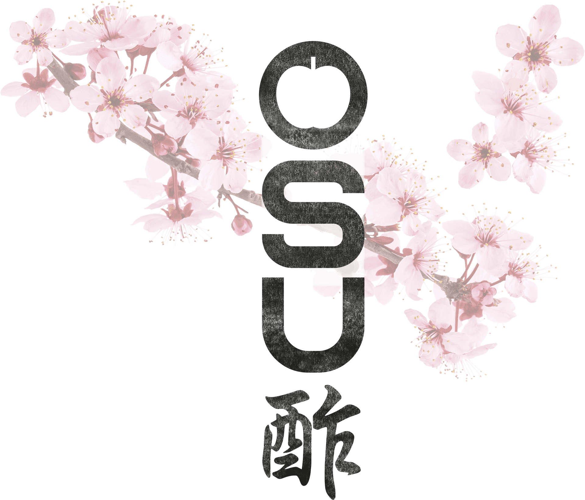 Cherry Blossom O S U Logo PNG