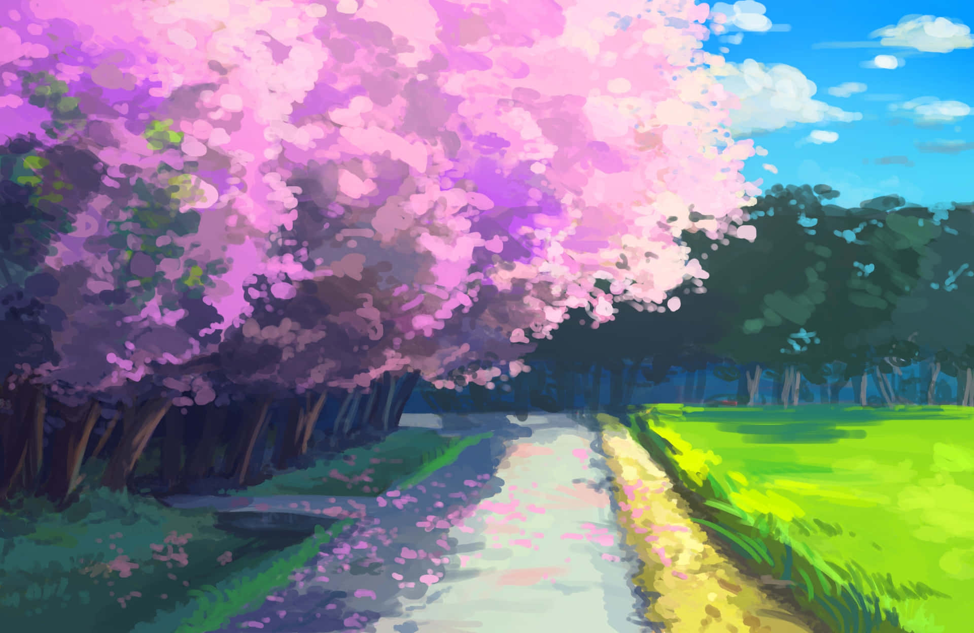 Cherry Blossom Pathway Anime Scene Wallpaper