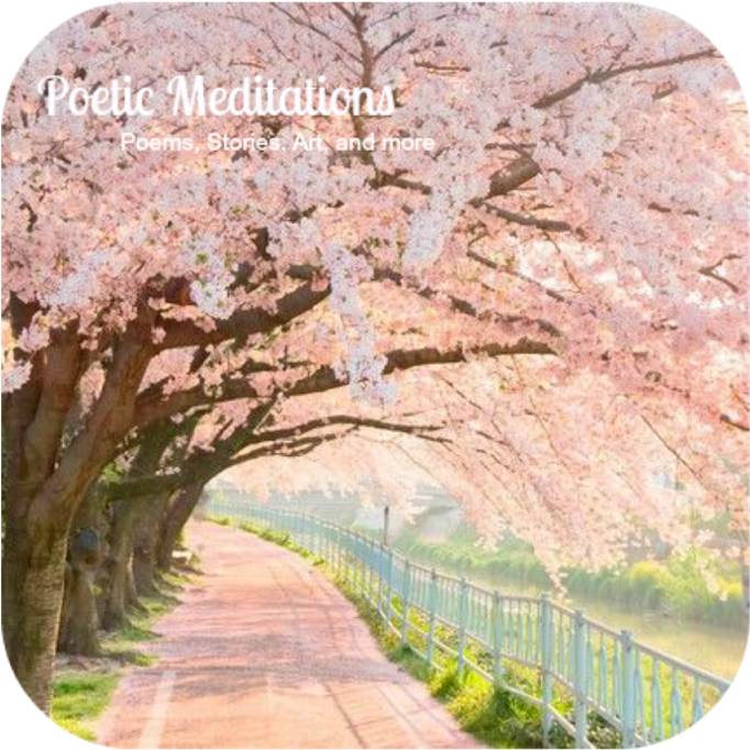 Cherry Blossom Pathway Poetic Meditations PNG