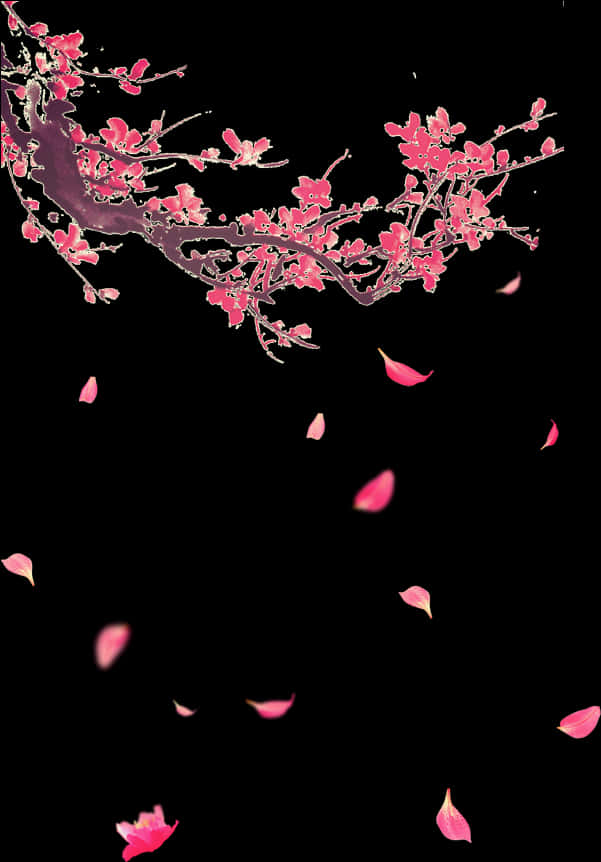 Cherry Blossom Petals Falling PNG