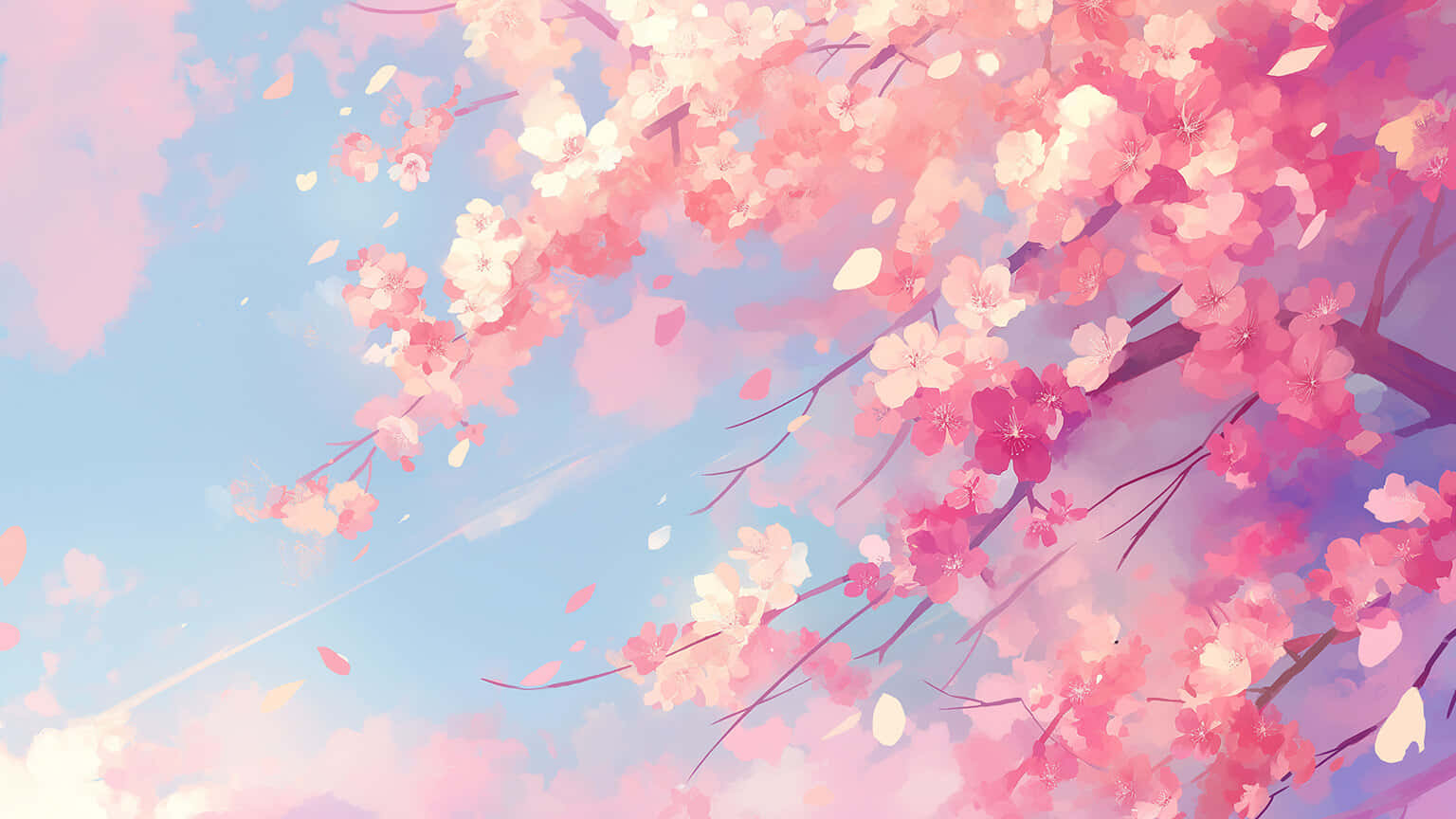 Cherry Blossom Sky Wallpaper