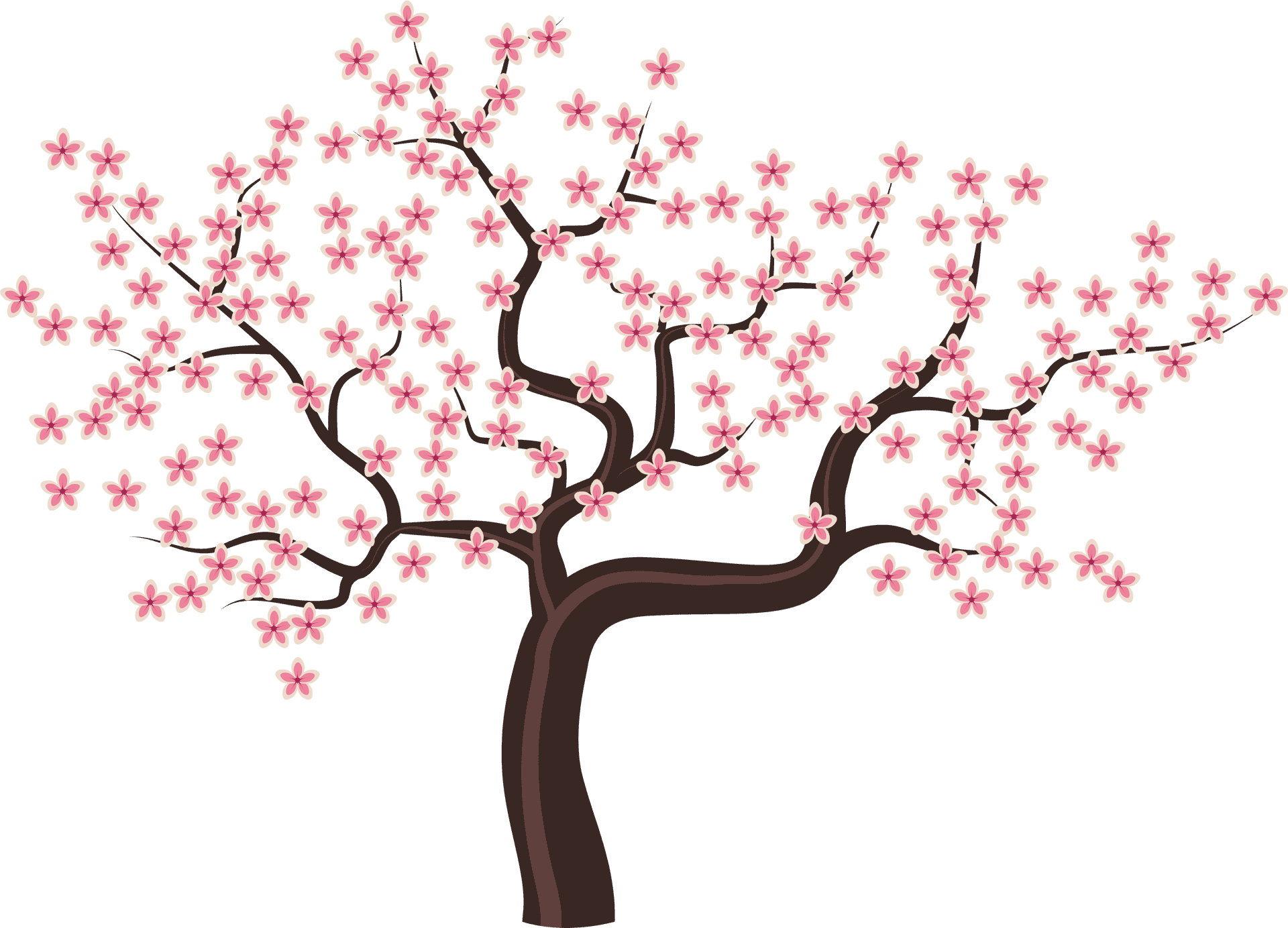 Cherry Blossom Tree Illustration PNG