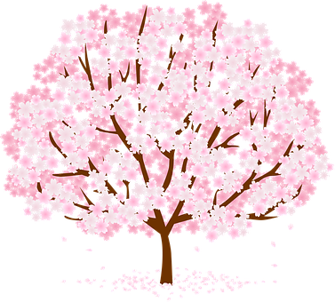Cherry Blossom Tree Illustration PNG