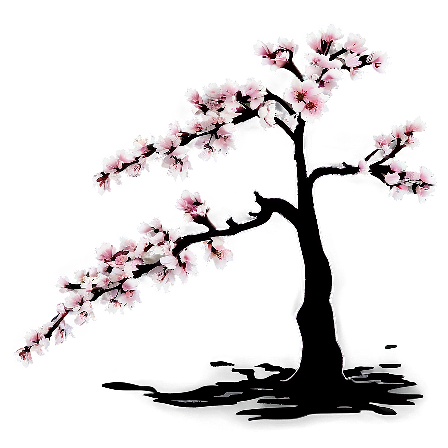 Cherry Blossom Tree Outline Png 05242024 PNG