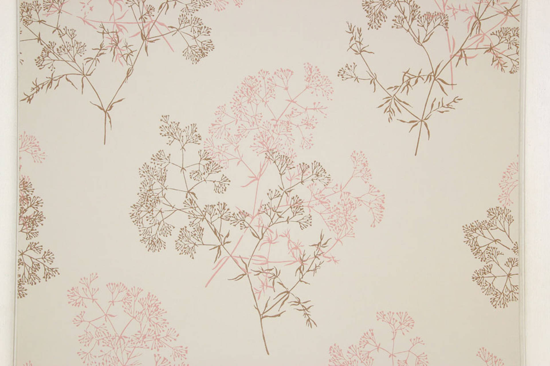 Cherry Blossom Twigs On Beige Background Wallpaper