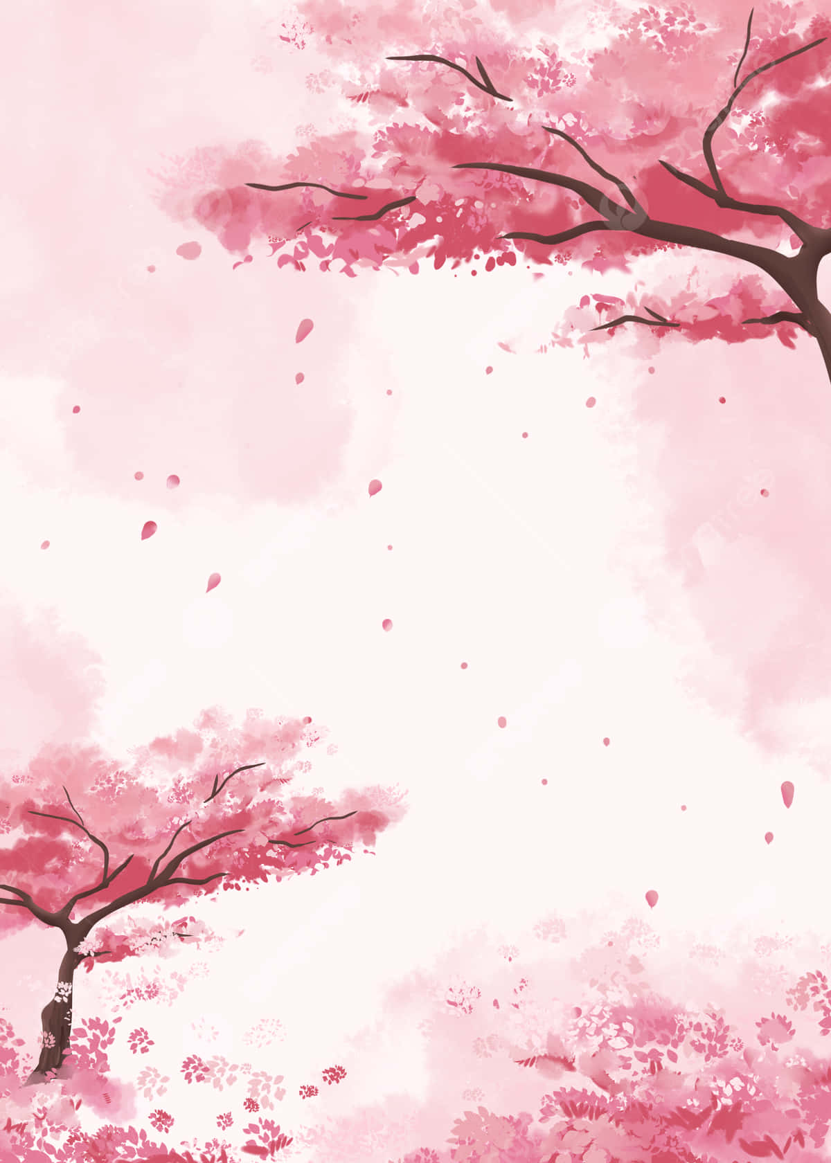 Cherry Blossom Watercolor Anime Background Wallpaper