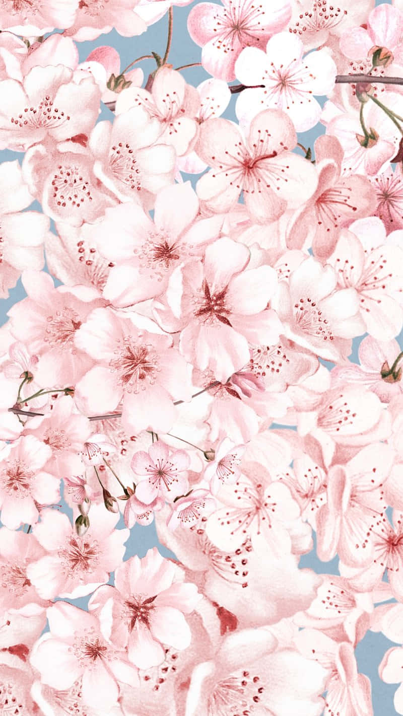 Cherry Blossom Watercolor Pattern Wallpaper