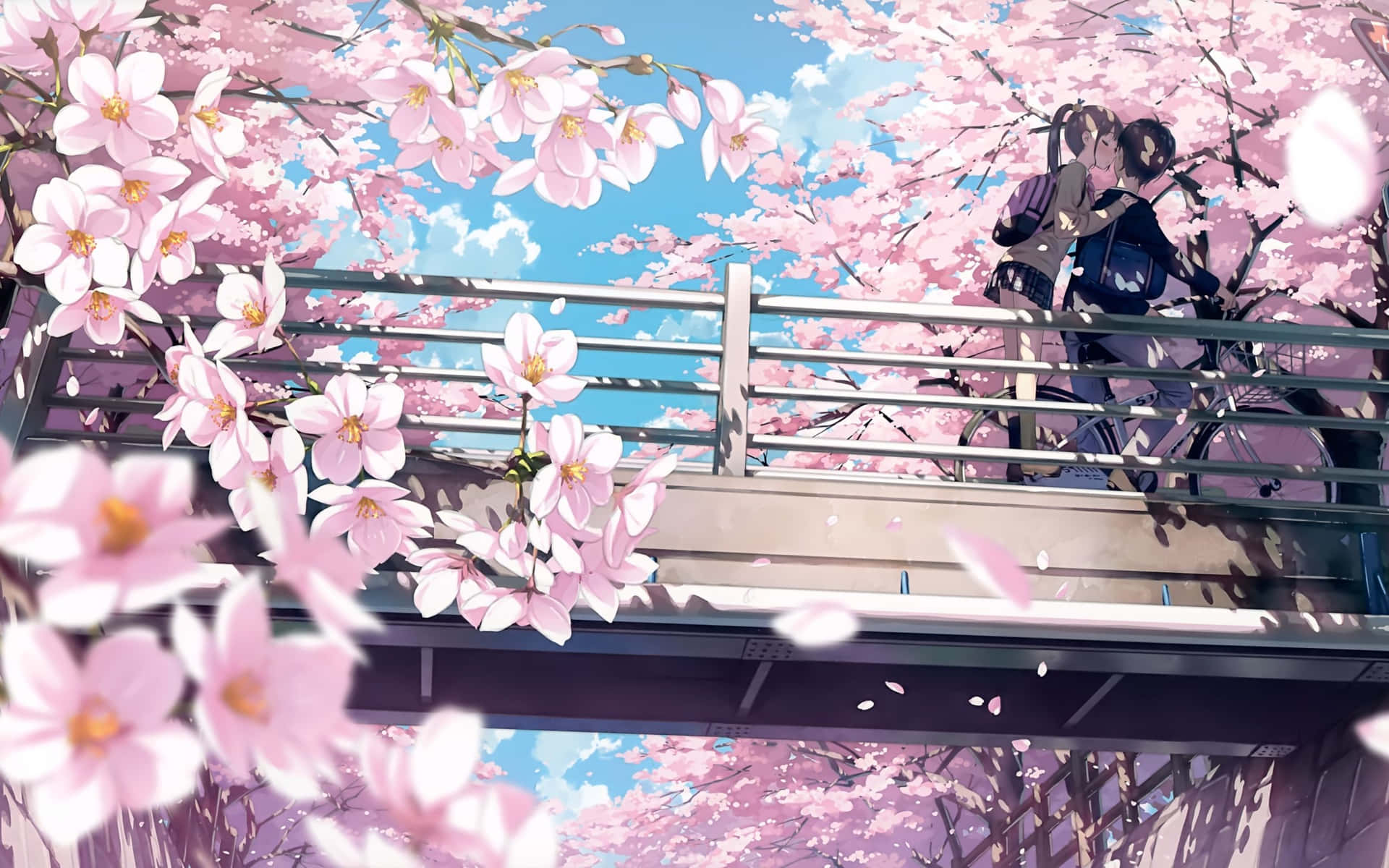 Download Enjoy the beauty of a cherry blossom-filled landscape with this  peaceful anime scenery. Wallpaper 
