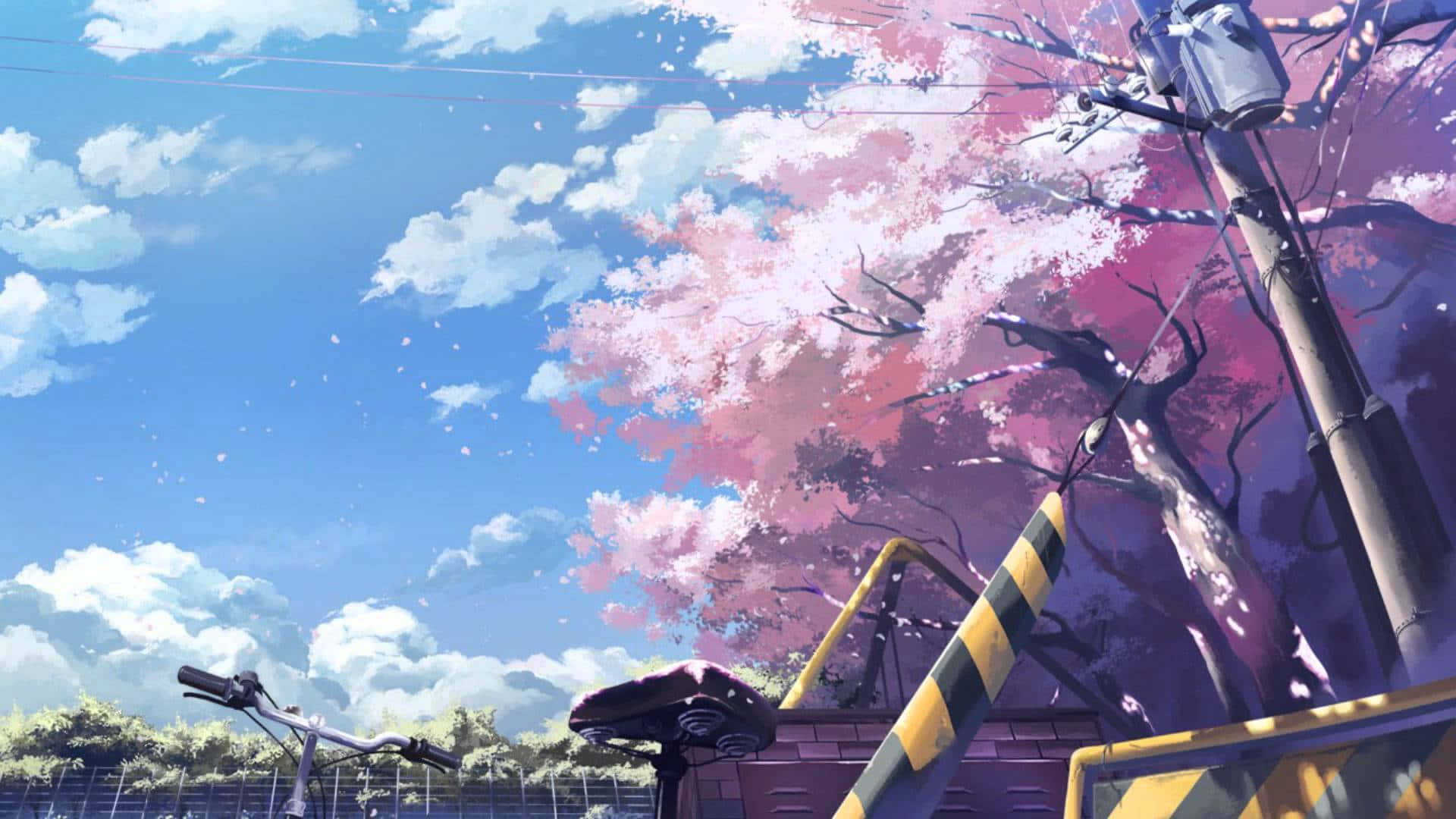 A tranquil anime scenery with cherry blossoms in bloom Wallpaper