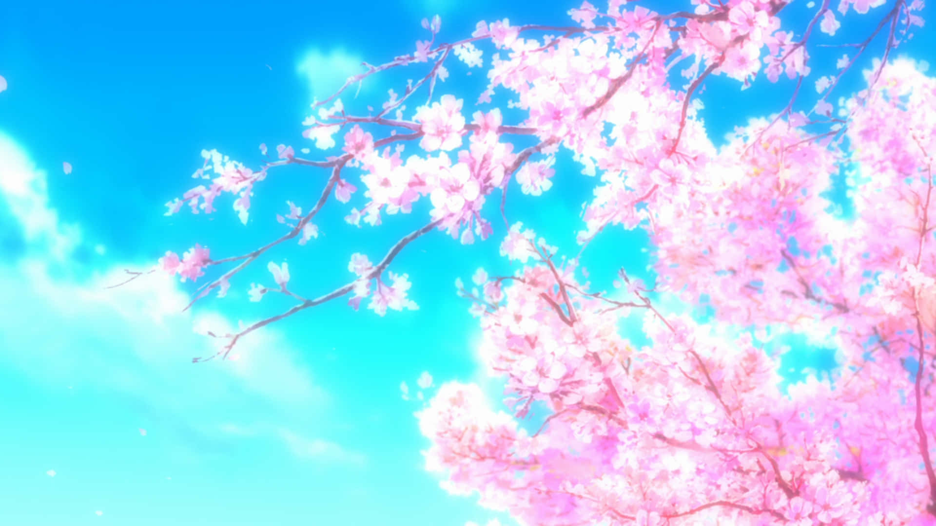 Romantisk anime-scenarie med kirsebærblomster Wallpaper