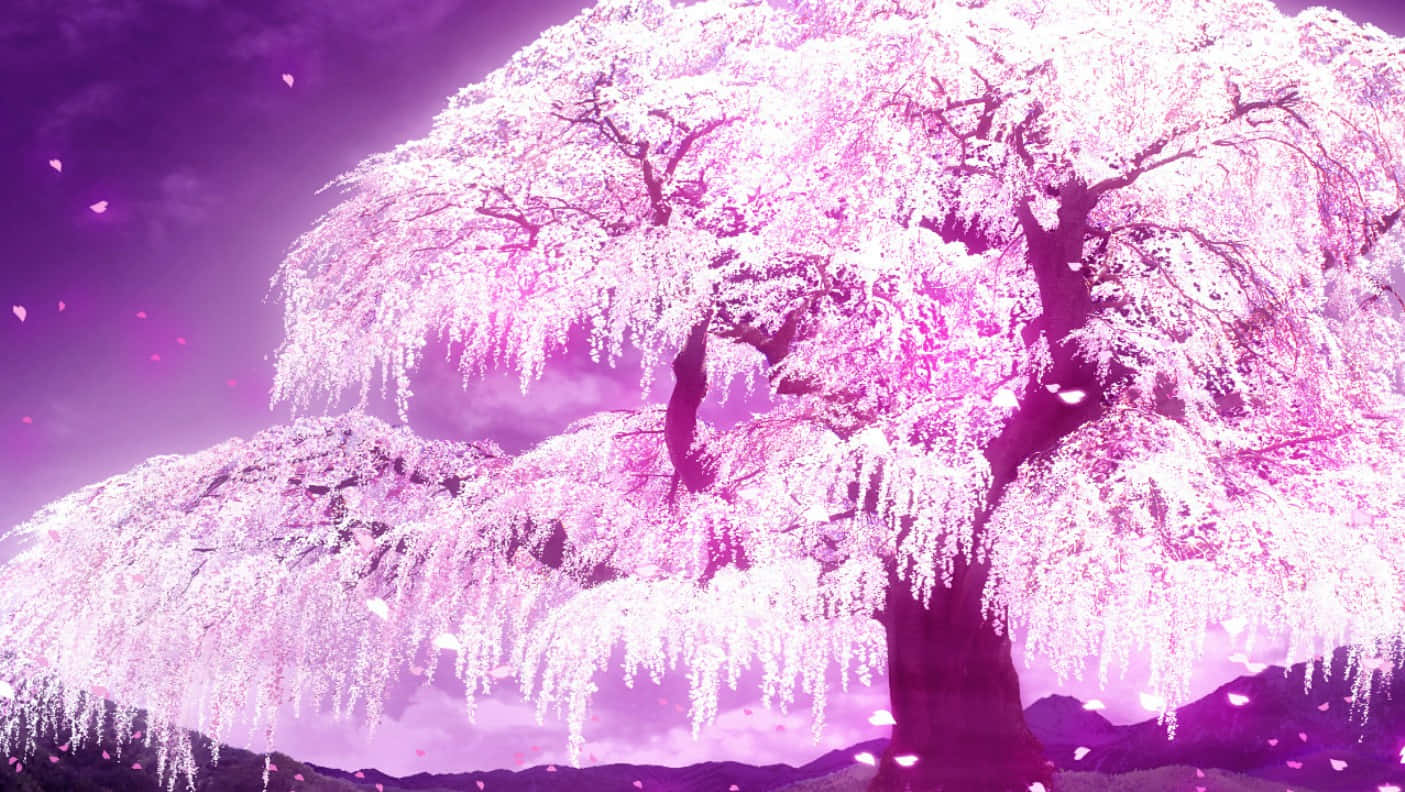 HAIKYUU ONE SHOTS - 𝐔𝐧𝐝𝐞𝐫 𝐭𝐡𝐞 𝐬𝐚𝐤𝐮𝐫𝐚 𝐭𝐫𝐞𝐞|| Ushijima  Wakatoshi | Anime scenery, Sakura tree, Anime places