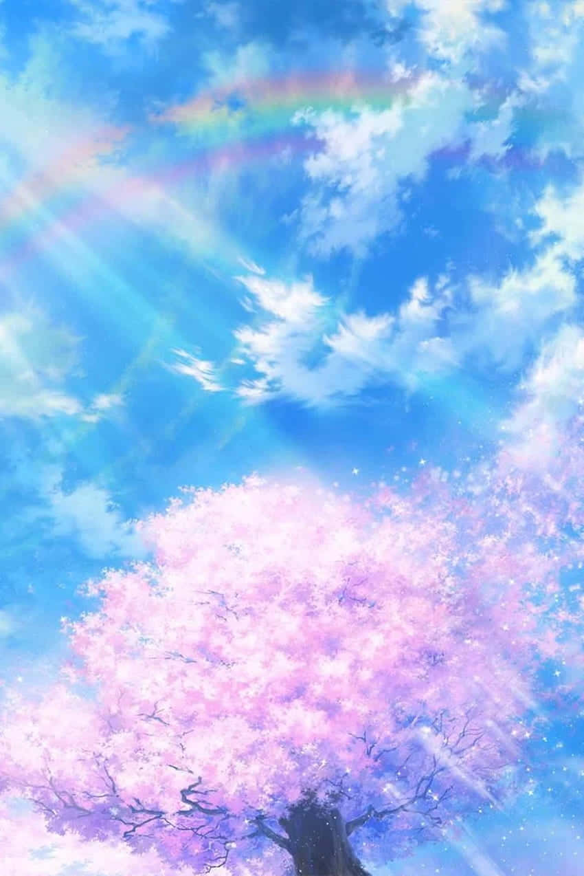 Cherry Blossoms Anime Scenery Light Shining Down Rainbow Wallpaper