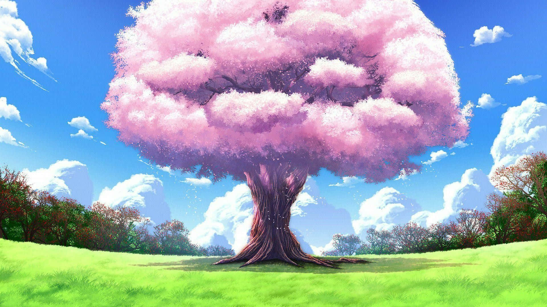 Nyd kirsebærssæsonen med det smukke anime landskabs tapet! Wallpaper
