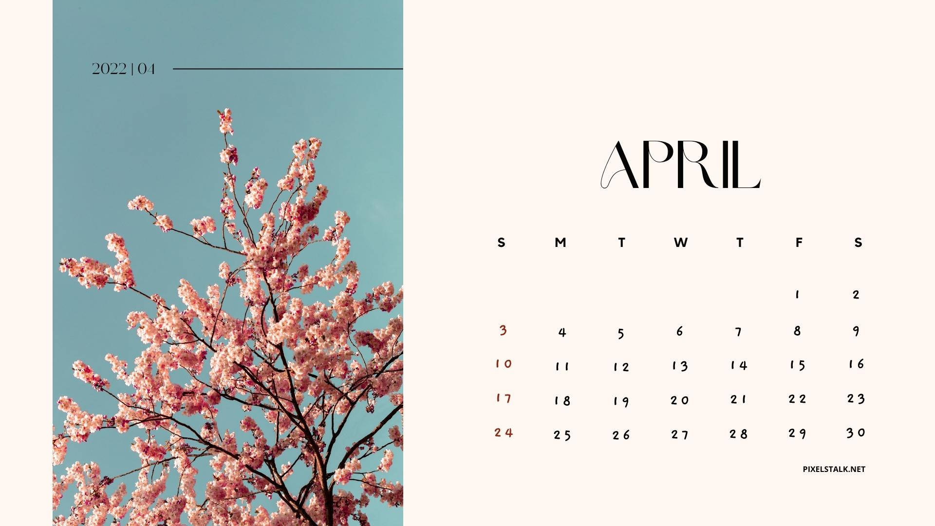 Cherry Blossoms April 2022 Calendar Background