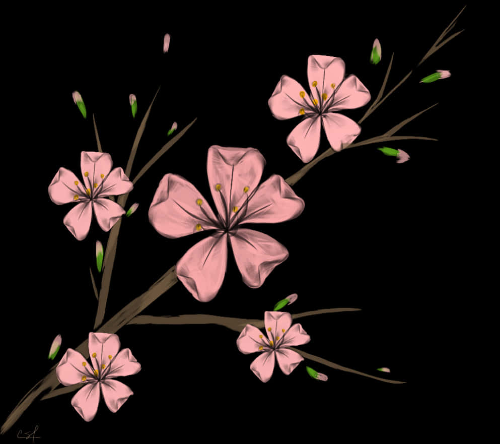 Cherry Blossoms Artistic Representation PNG