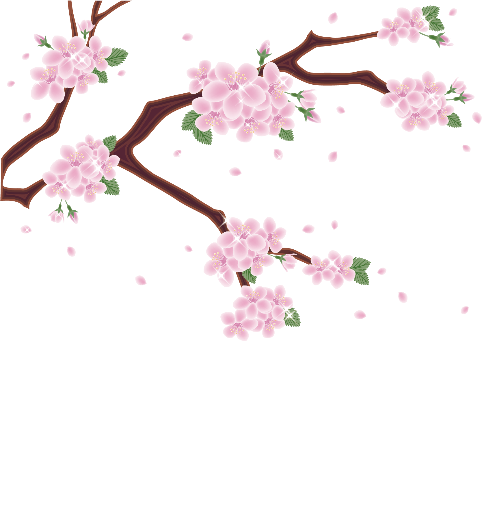 Cherry Blossoms Artistic Representation PNG