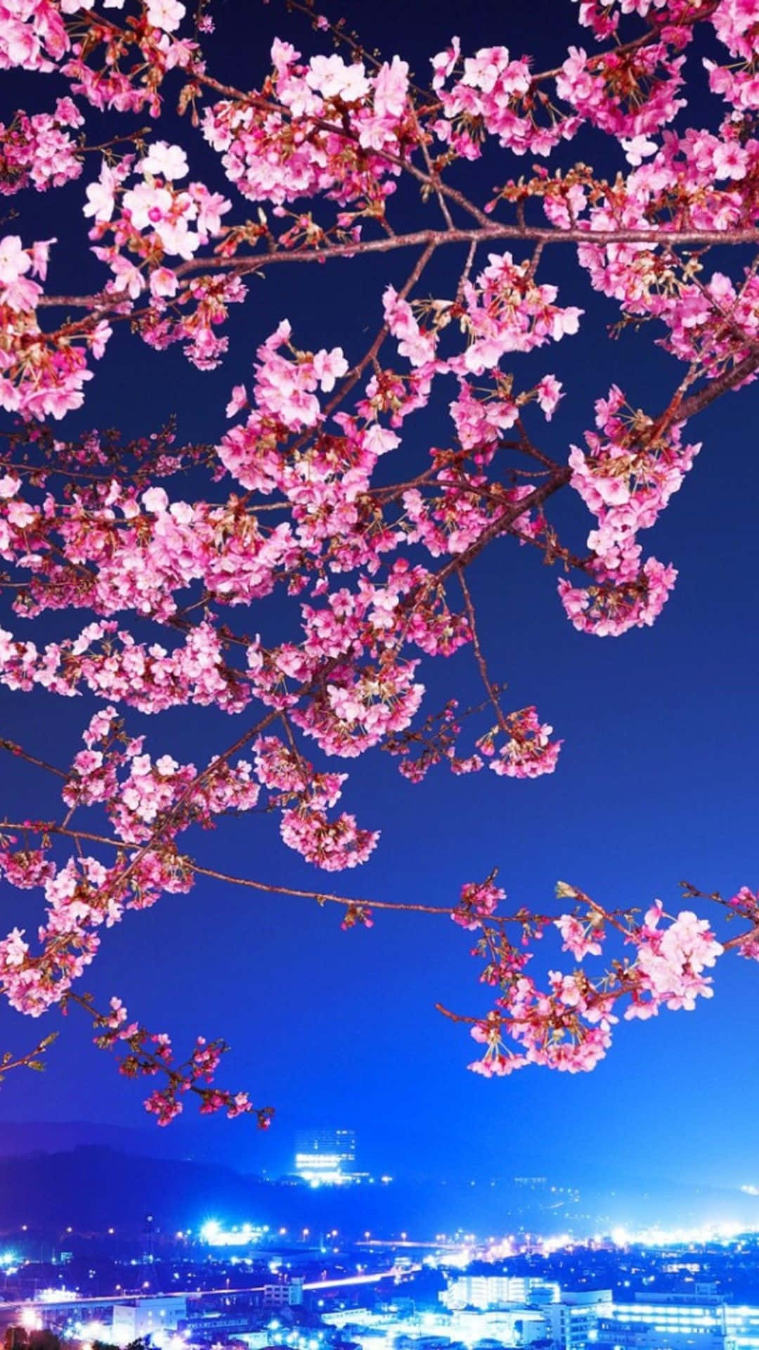 Cherry Blossoms Night Cityscape Wallpaper