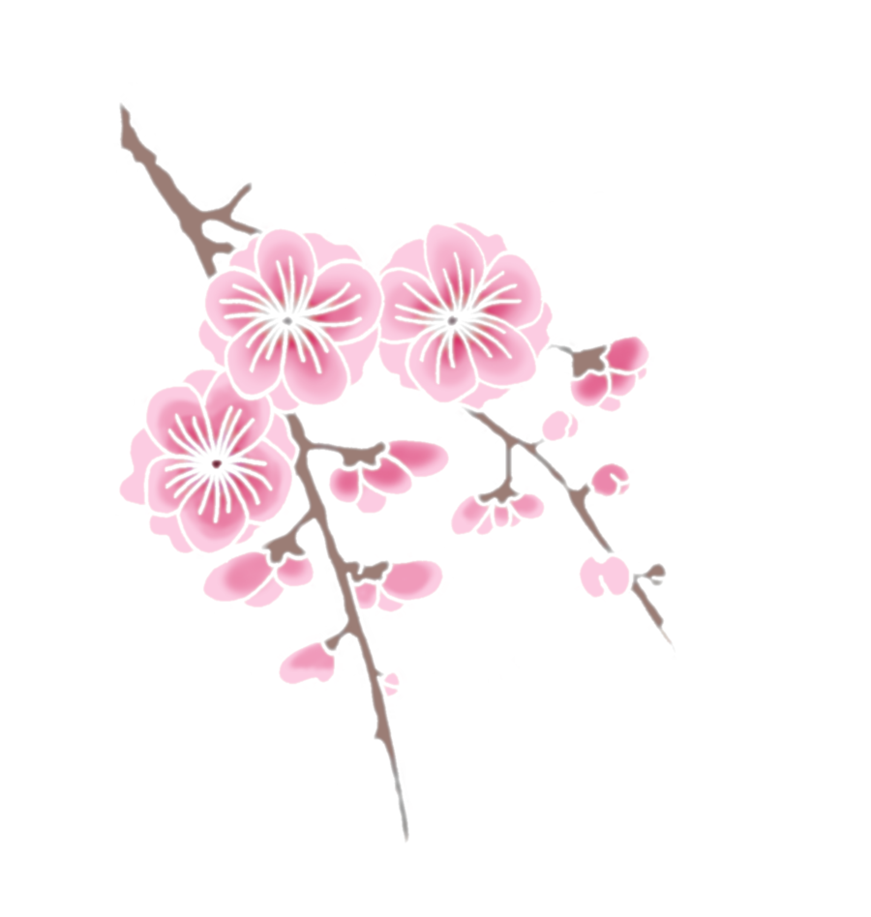 Cherry Blossomson Branch PNG