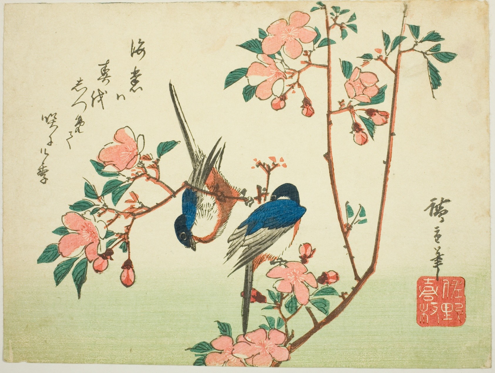 Cherry branch and Swallow (Java) Wallpaper