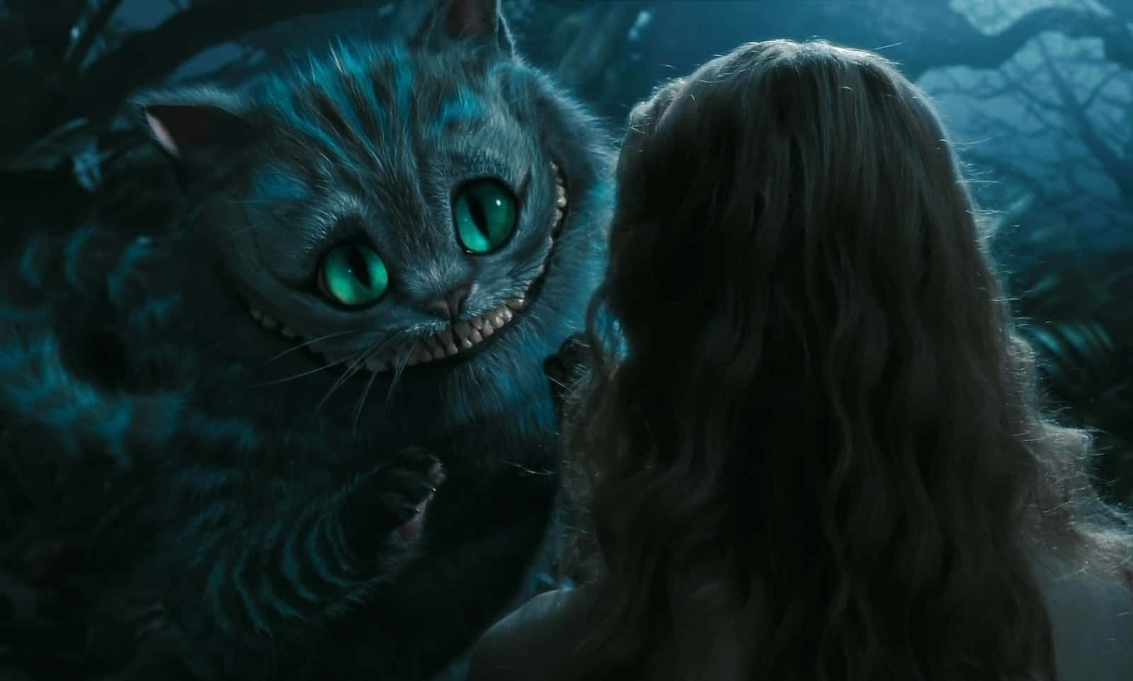 The Wise Cheshire Cat