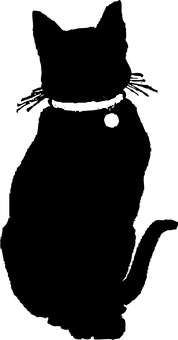 Cheshire Cat Smilein Darkness PNG