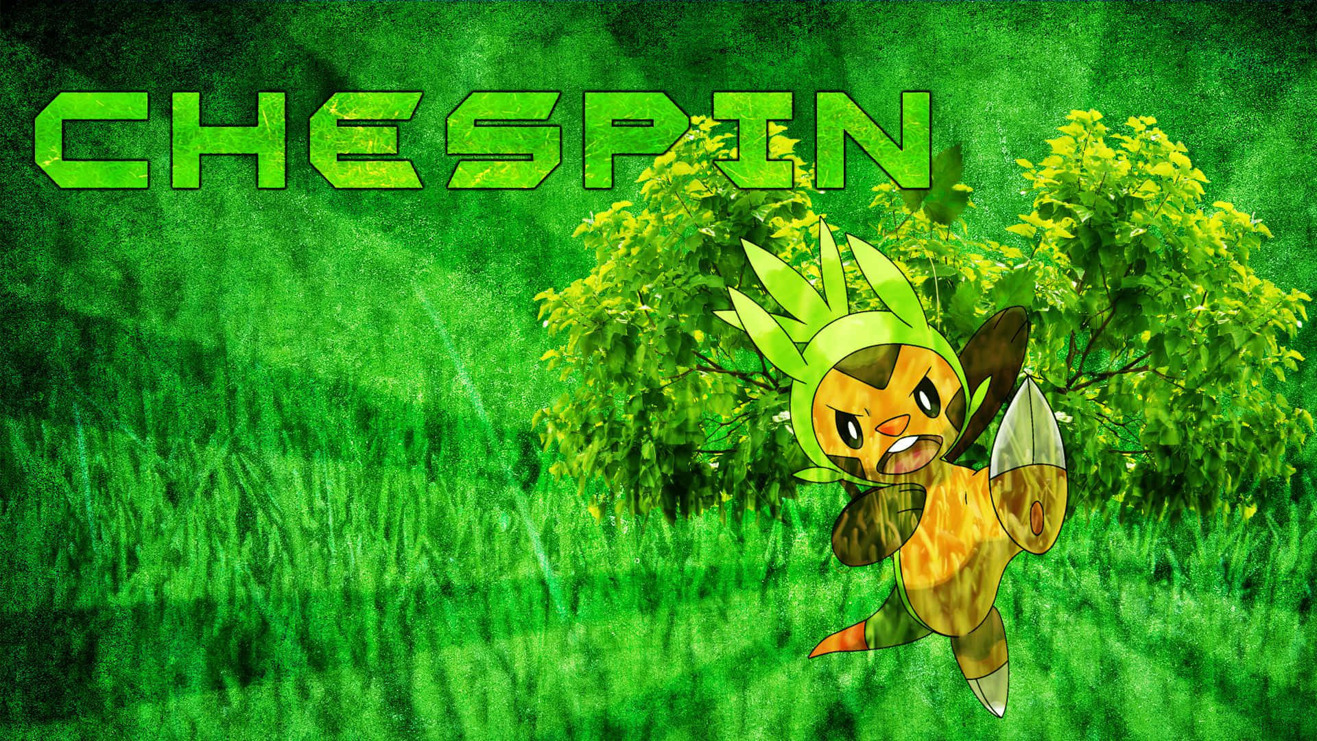 Chespin Against The Grass Wallpaper
