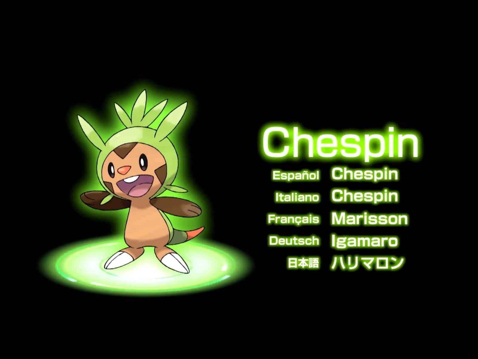 Chespin, A Beloved Pokemon Character In Multiple Languages Wallpaper