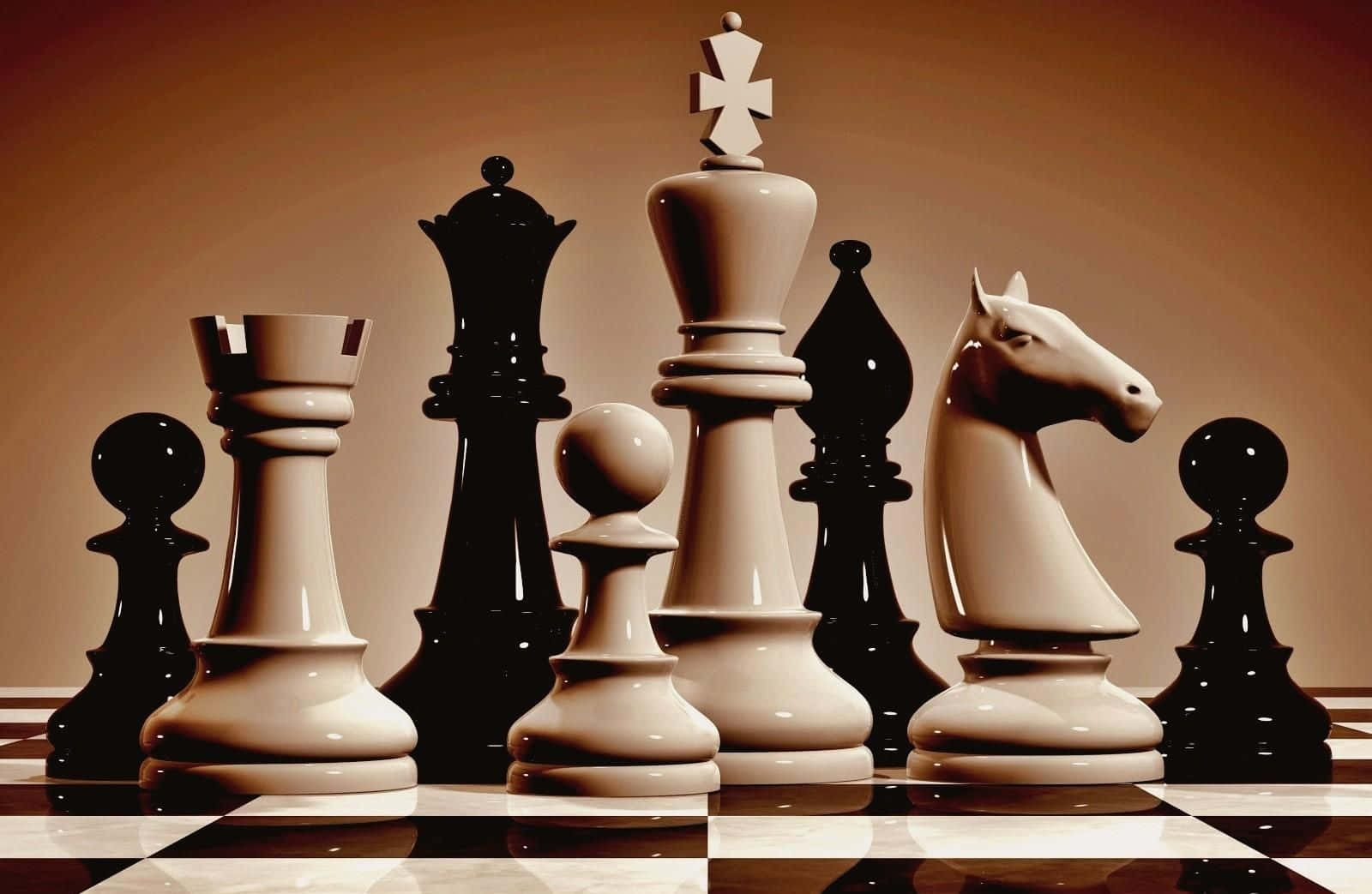 Black and White Chess Battle