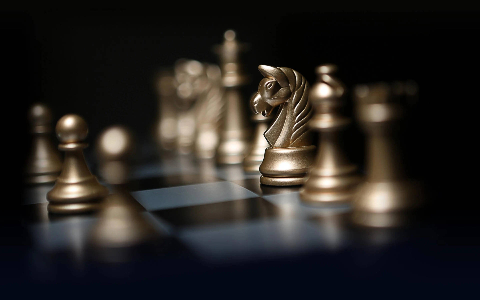 Download Chess Mighty Golden Knight Wallpaper 