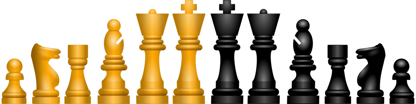 Chess Pieces Showcase PNG