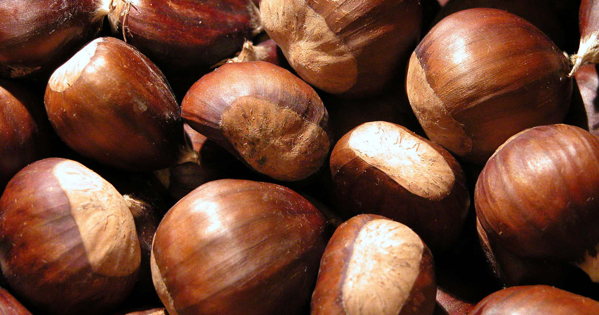 Caption: Beautiful Close-up View of a Chestnut Wallpaper