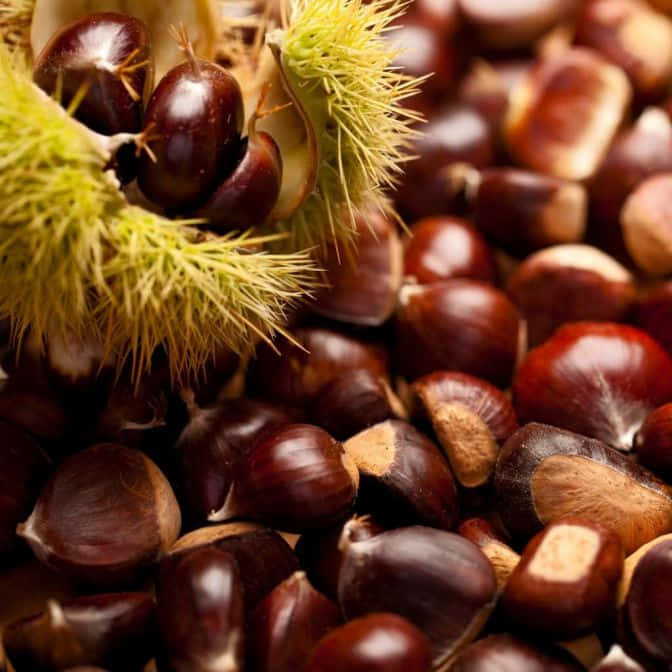 A beautiful close-up shot of chestnuts on a wooden surface Wallpaper
