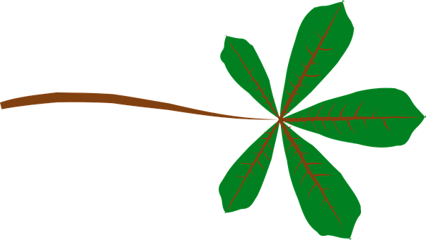 Chestnut Leaf Graphic PNG