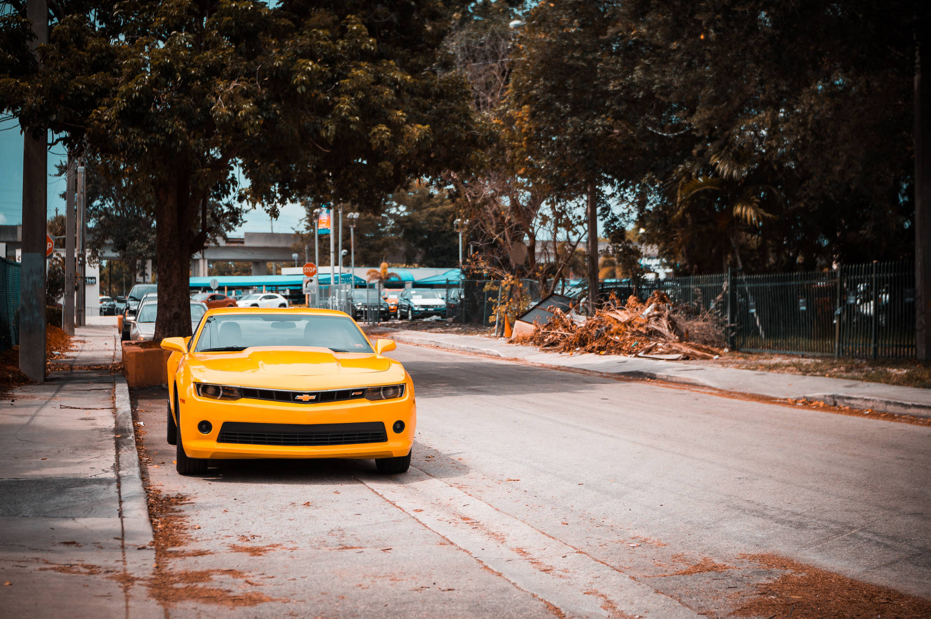Chevrolet Camaro On Roadside