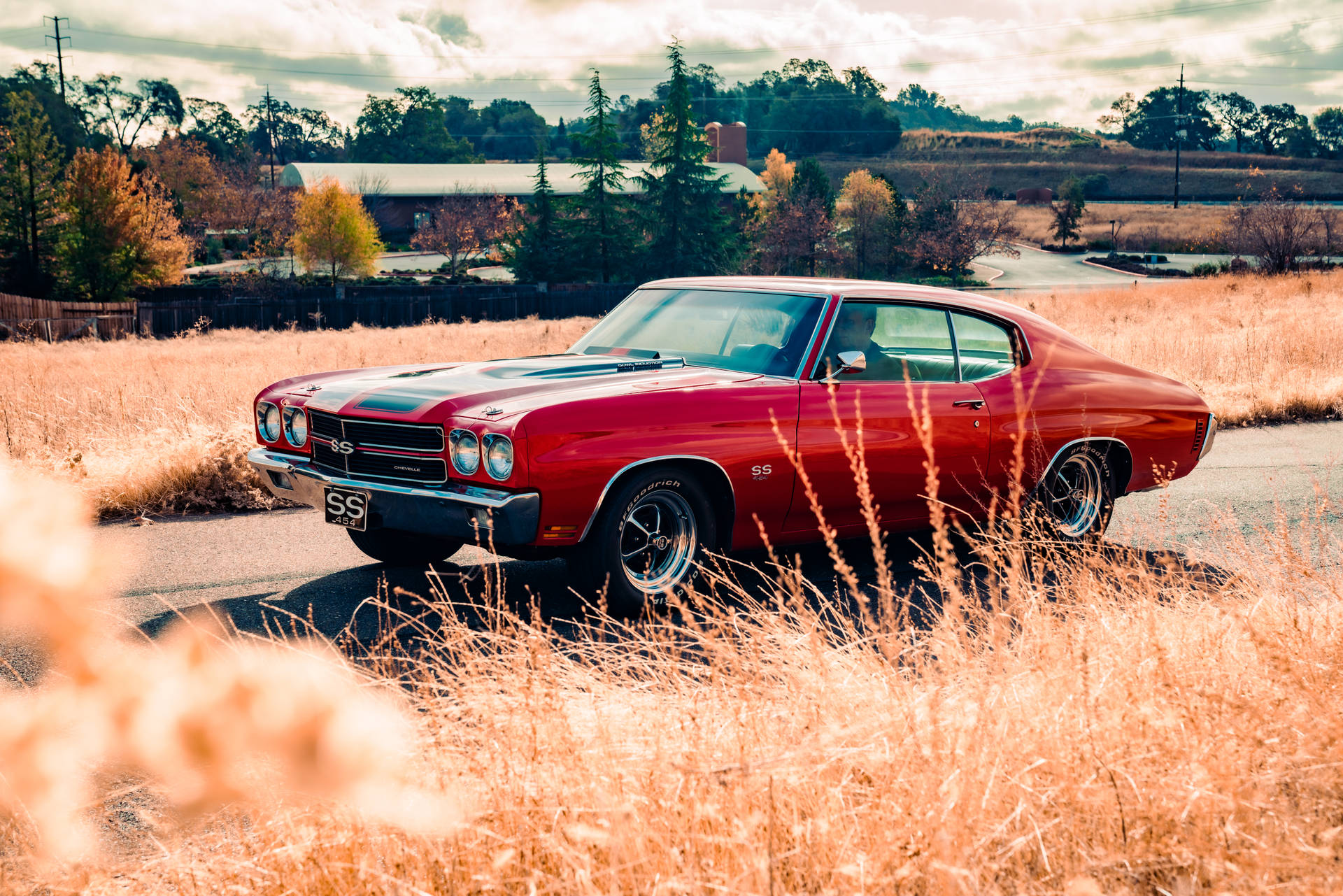 Chevrolet Chevelle On Wheat Field