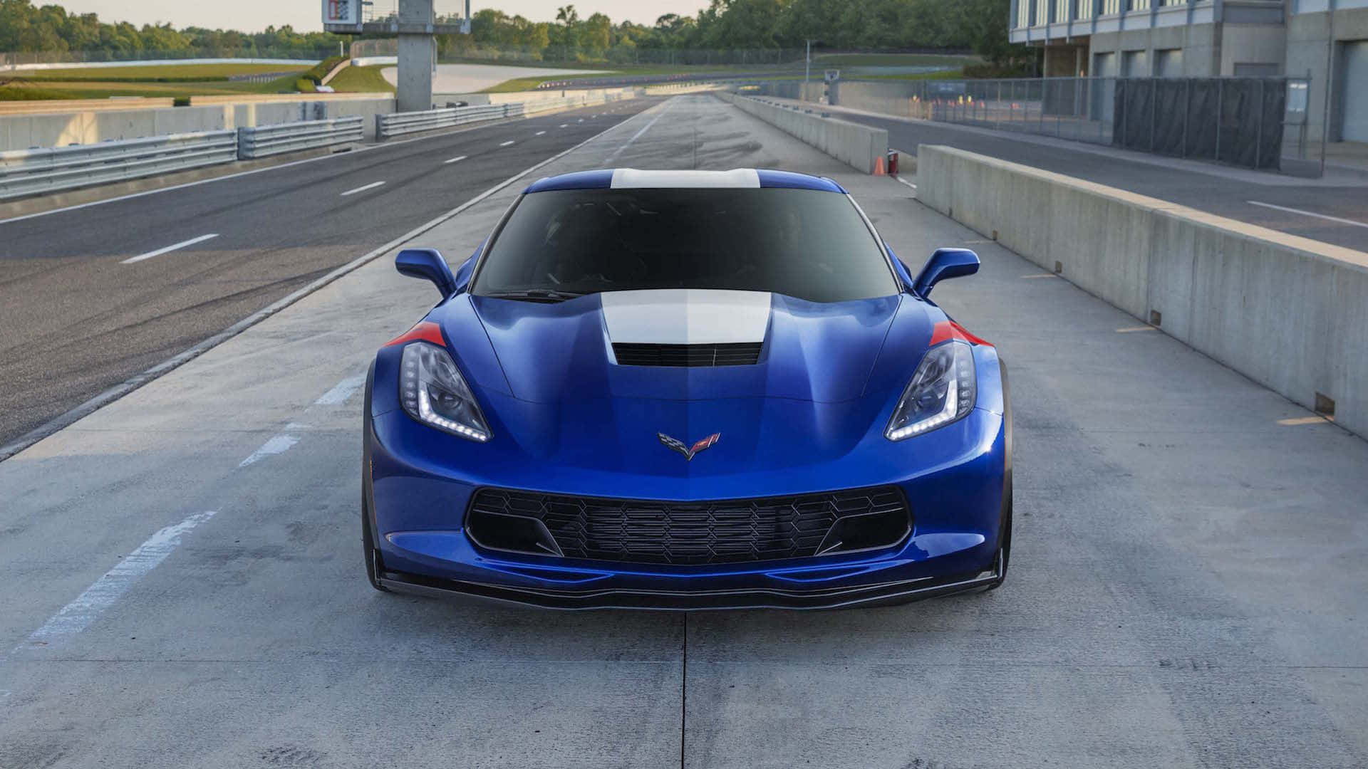 Stunning Chevrolet Corvette Grand Sport in Motion Wallpaper