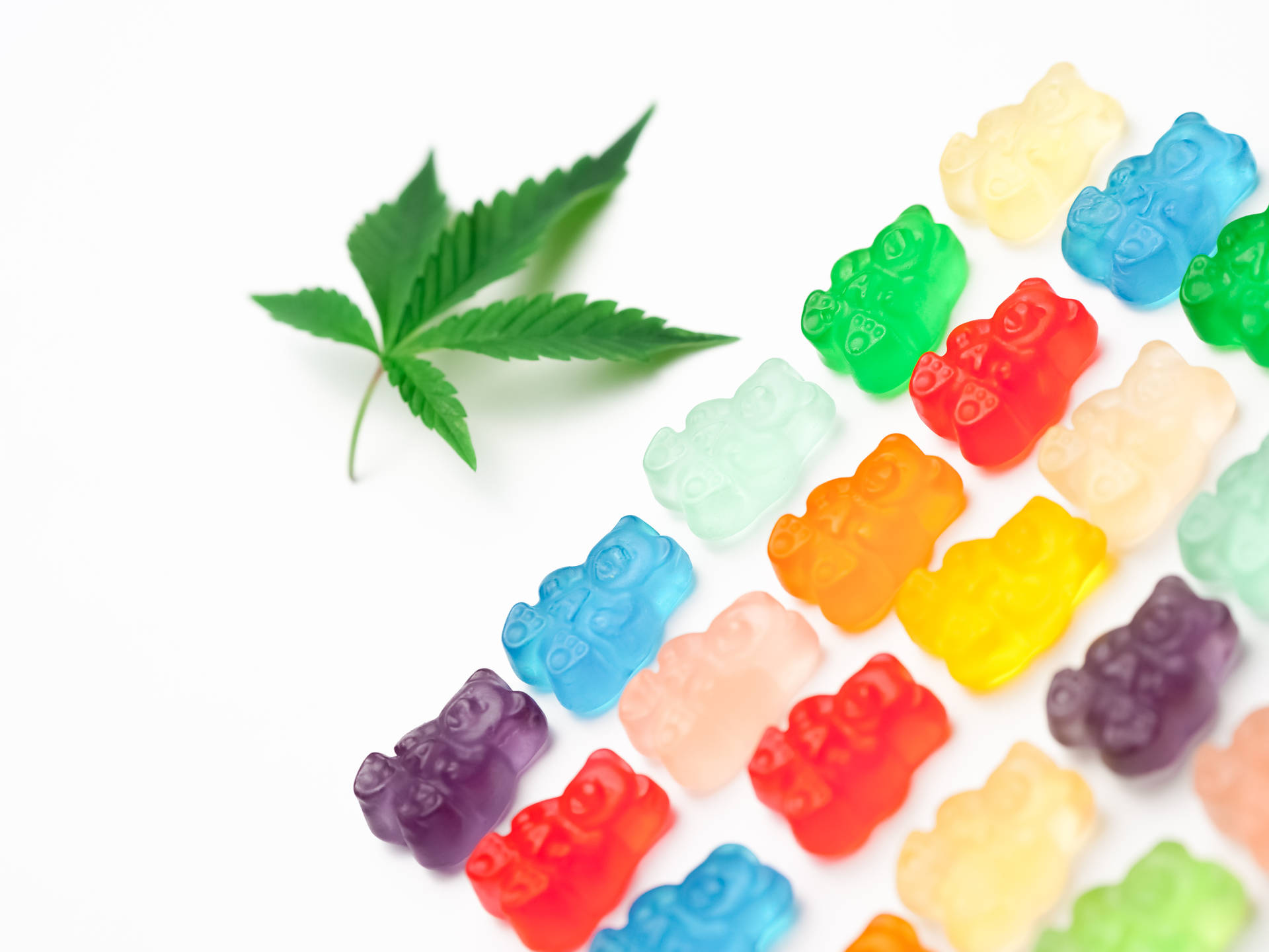 Chewy Gummy Bears Cannabis Leaf Wallpaper