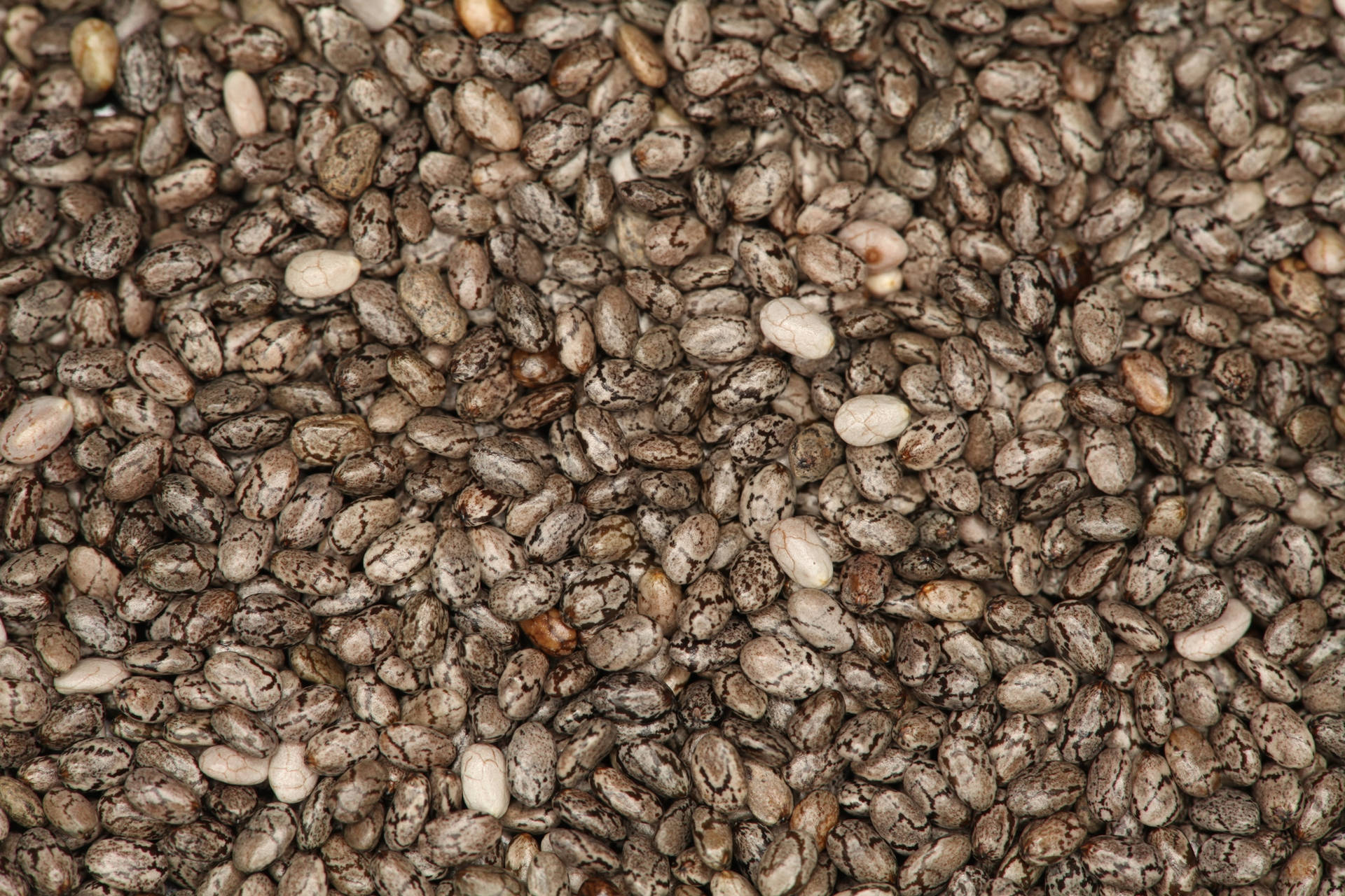 Chia Seeds Spread Wallpaper
