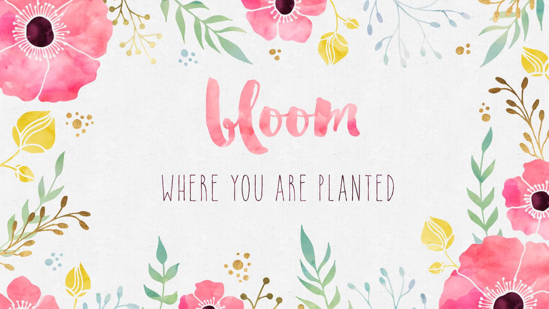 Et vandfarvet floral baggrundsbillede med ordene 'blomst der du er plantet' Wallpaper