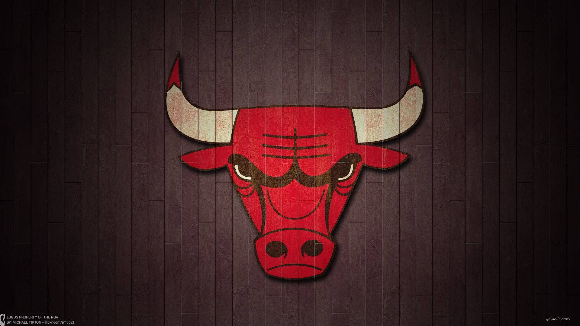 Chicago Bulls Basketball Court Logo Wallpaper