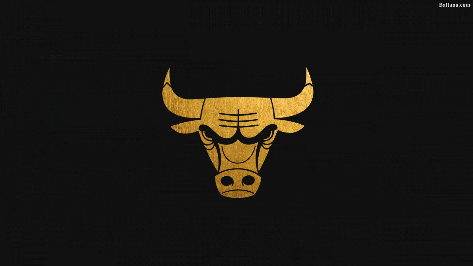 Chicago Bulls Gold Logo