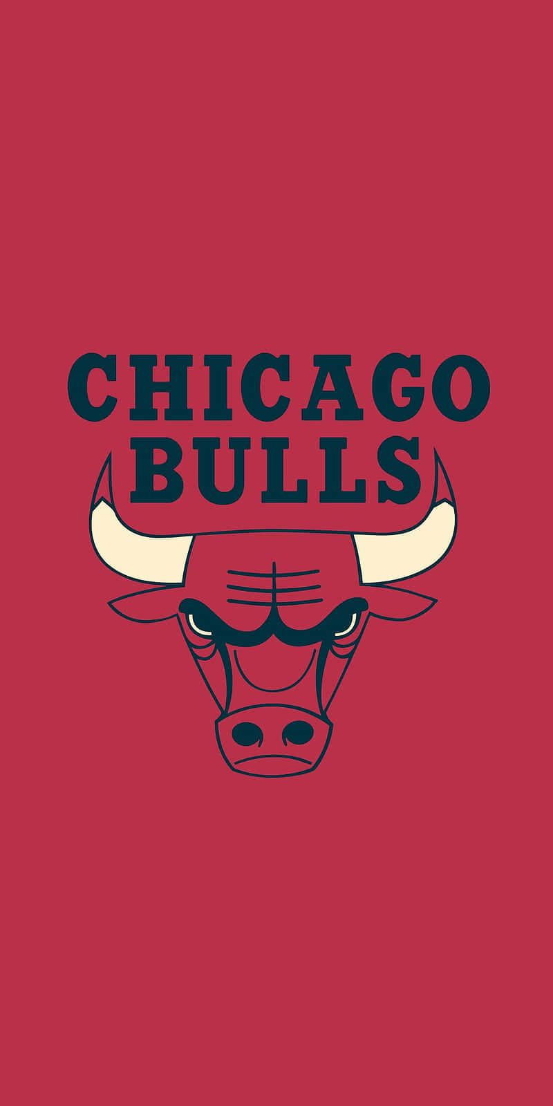 Always play with the Bulls spirit Wallpaper