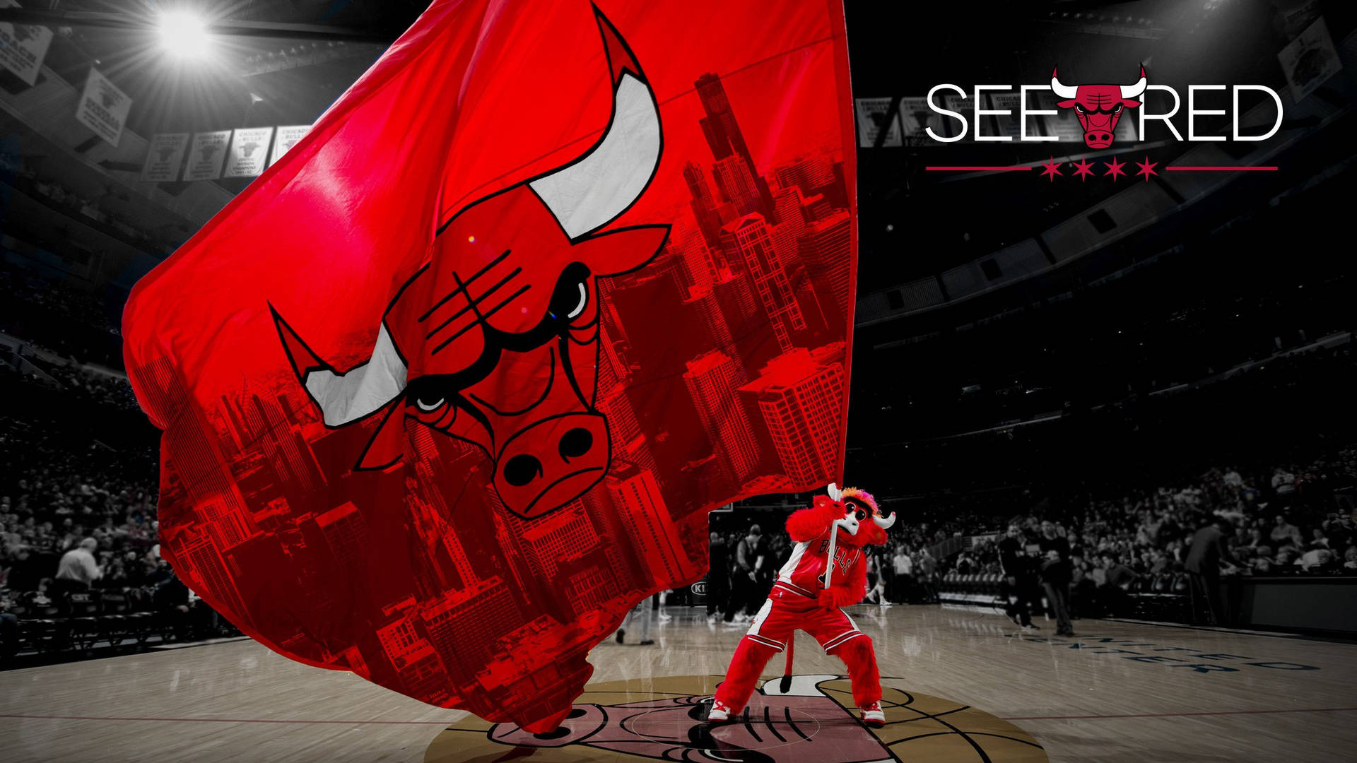 Benny the Bull, Passionate Mascot of Chicago Bulls Wallpaper