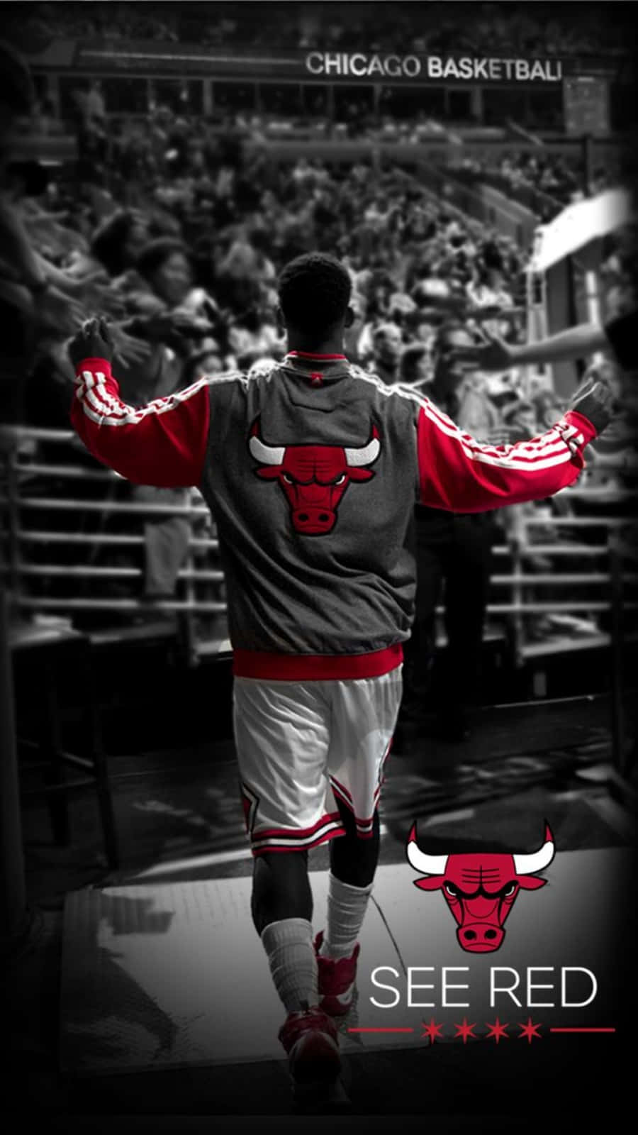 The Windy City, Home Of The Chicago Bulls Wallpaper