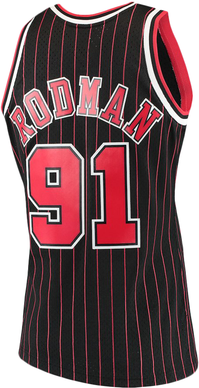 Chicago Bulls Rodman91 Jersey PNG