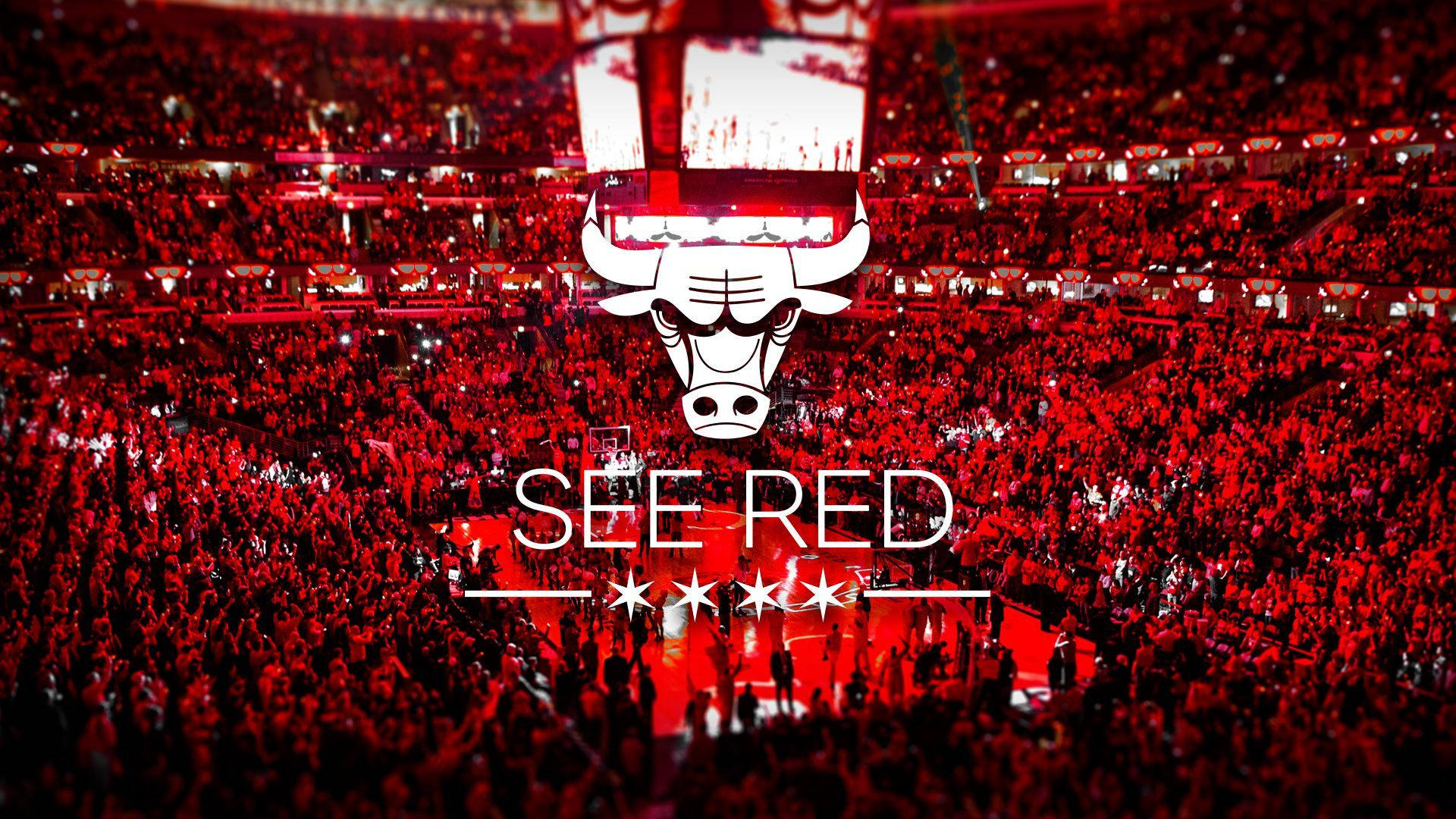 Chicago Bulls See Red Wallpaper